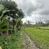 lumbung langit bali house and hostel