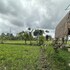 lumbung langit bali house and hostel