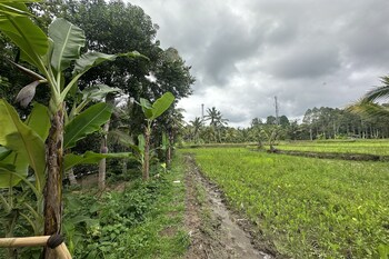 lumbung langit bali house and hostel