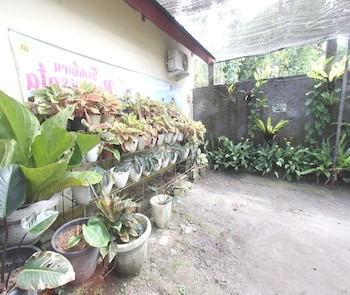 spot on 93651 losmen ida