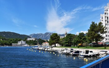ploce