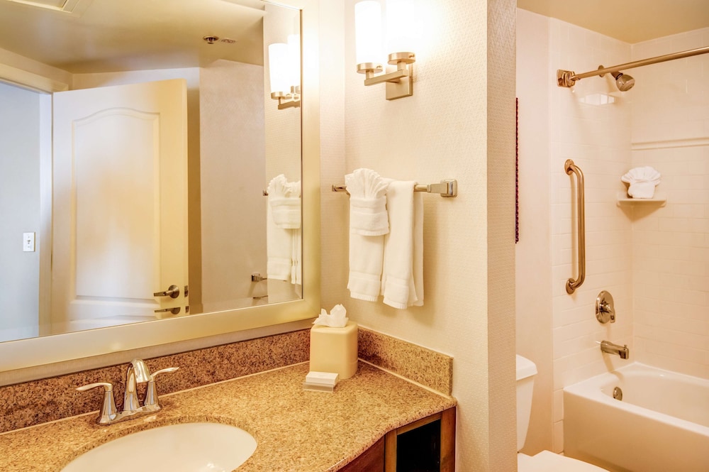 hilton garden inn tampa ybor historic district