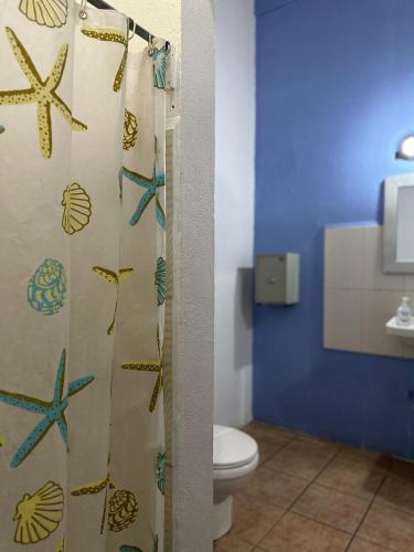 wide mouth frog conchal