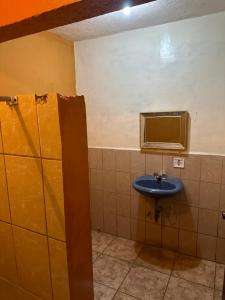 wide mouth frog conchal