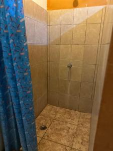 wide mouth frog conchal