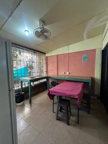 wide mouth frog conchal