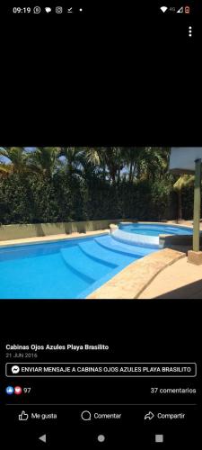 wide mouth frog conchal