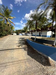 wide mouth frog conchal