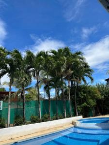 wide mouth frog conchal