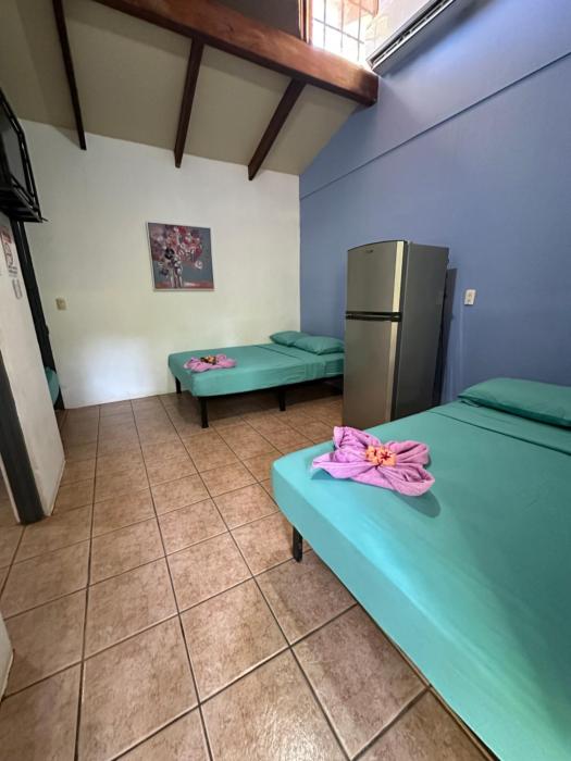 wide mouth frog conchal