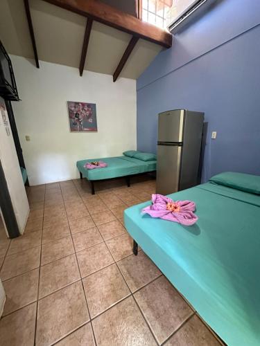 wide mouth frog conchal