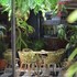 selva maria hotel boutique