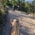 almazewa