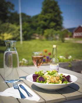 hogby spa and konferens