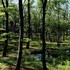 nasu mukunone