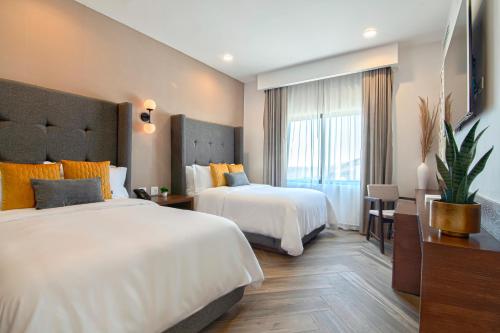 bellafer collection hotel and resort