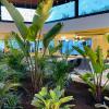 steaua de mare olimp resort