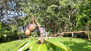 guadalajara glamping