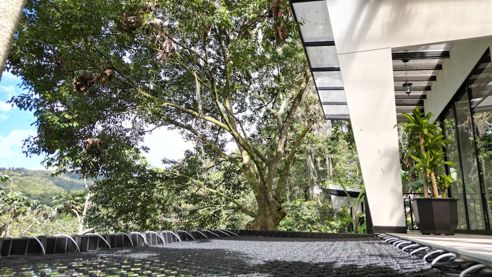 guadalajara glamping