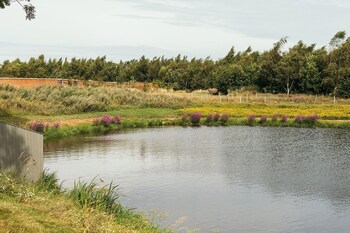 kings lynn