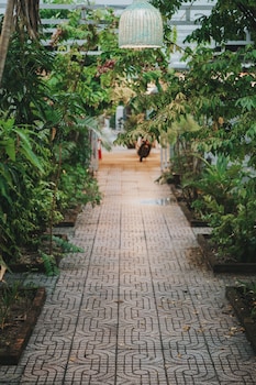 dai duong lagi homestay and coffee