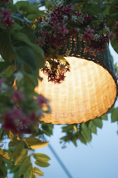 dai duong lagi homestay and coffee