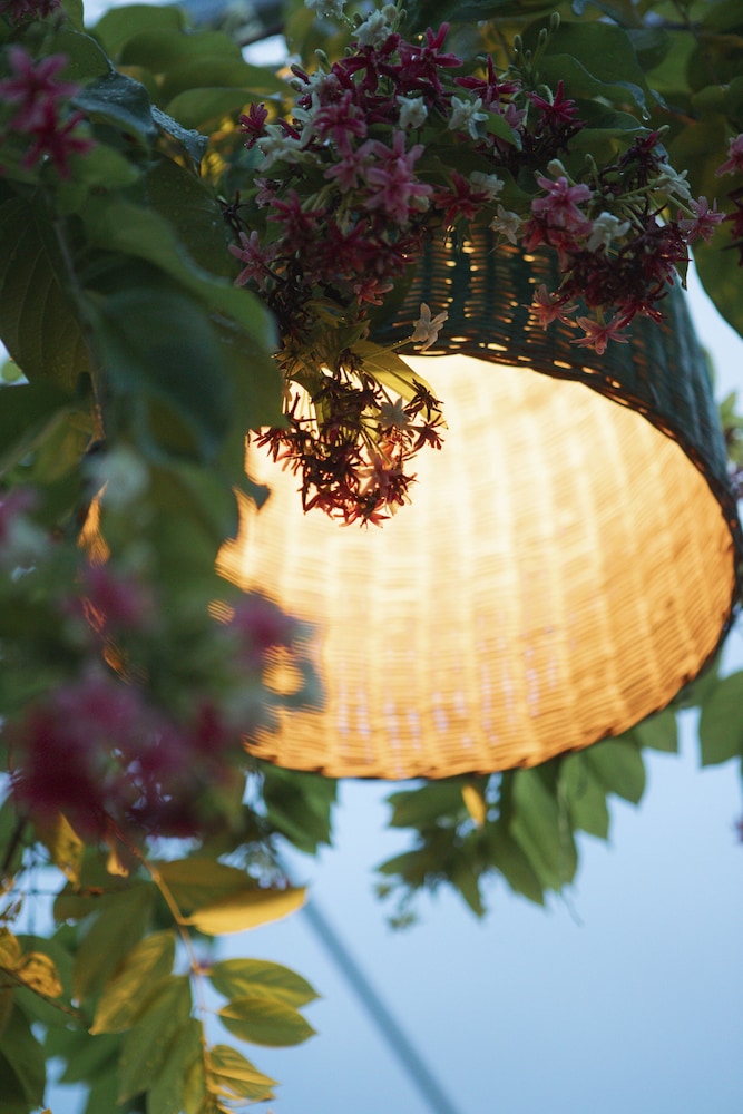 dai duong lagi homestay and coffee