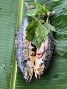 dai duong lagi homestay and coffee