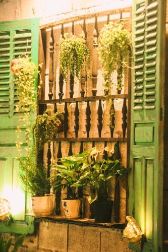 dai duong lagi homestay and coffee