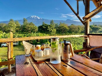 mount kilimanjaro360 view cottage