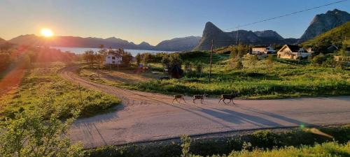 senja