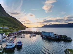 senja
