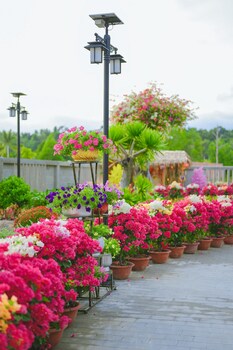 greenlife village phu quoc