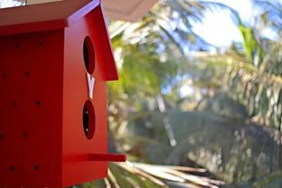 maple leaf residency homes calangute