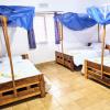 stc safari lodge