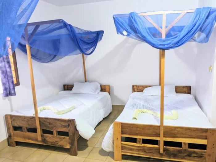 stc safari lodge