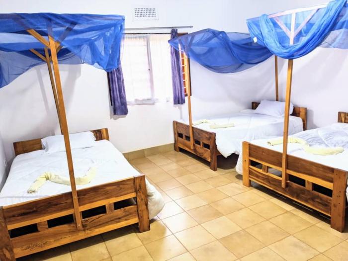 stc safari lodge