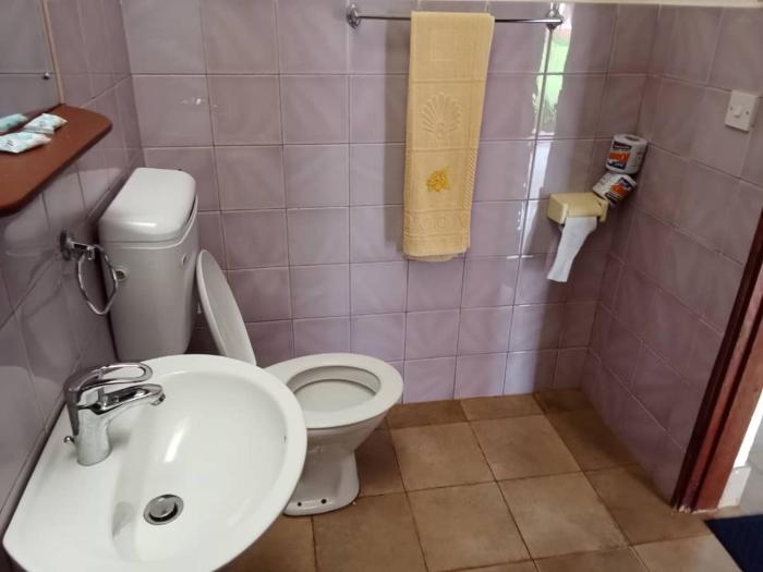 stc safari lodge