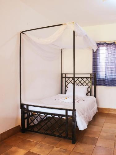 stc safari lodge