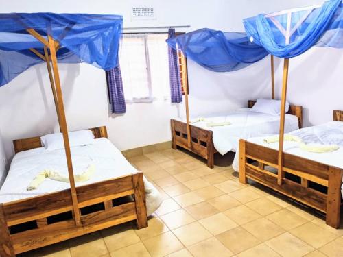 stc safari lodge