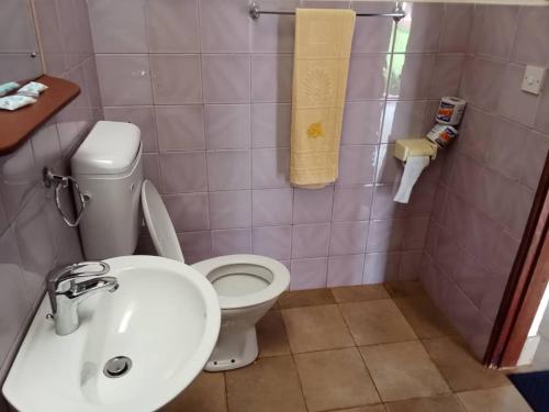 stc safari lodge