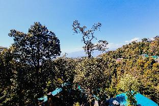 katson blue dalhousie