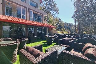 katson blue dalhousie