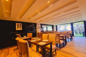 katson blue dalhousie