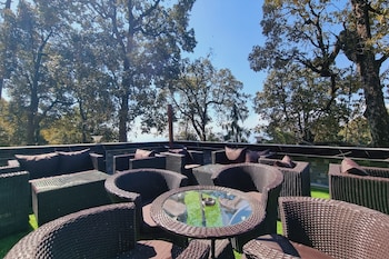 katson blue dalhousie