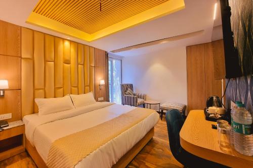 katson blue dalhousie