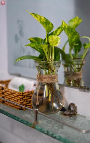 tan hoa homestay
