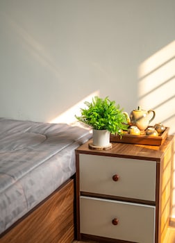 tan hoa homestay