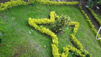 sede campestre pena negra