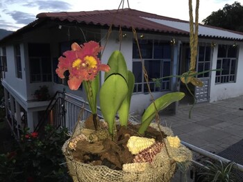 sede campestre pena negra